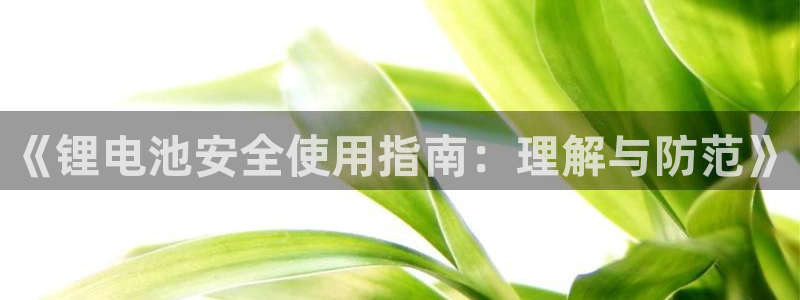 最新k豆钱包
