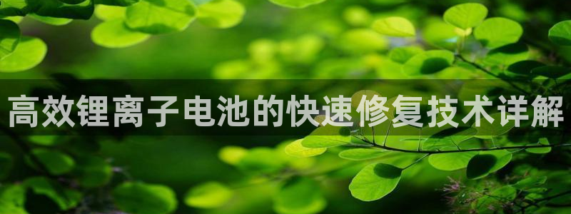 k豆钱包地址怎么写
