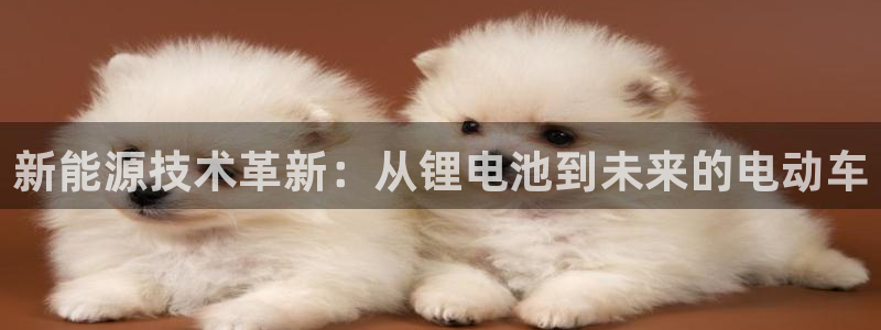 k 豆钱包已经