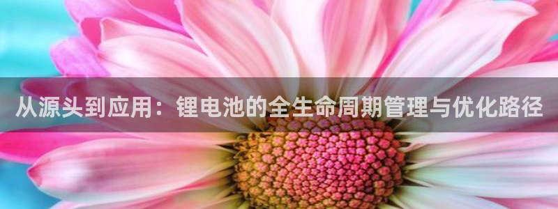 k豆钱包怎么使用