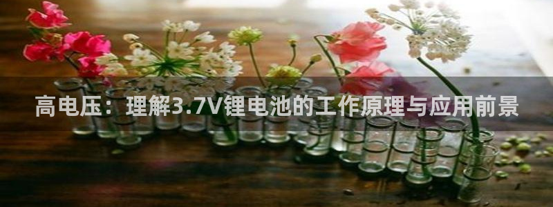 k豆钱包怎么样?