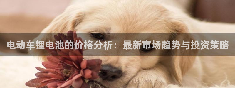 k豆钱包和ag钱包哪个好用