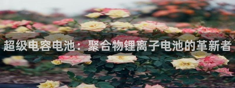 k豆钱包最新版本