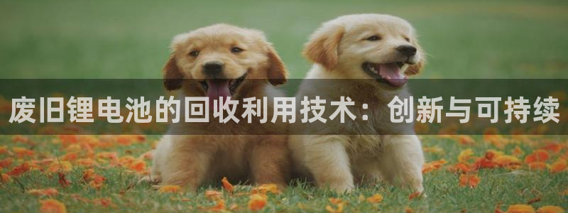 k豆钱包入口