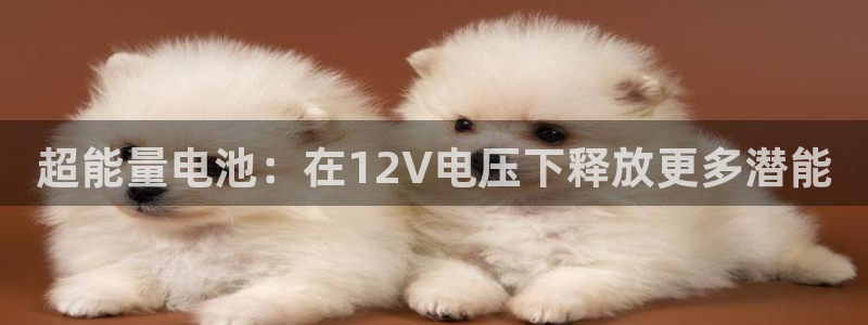 k豆钱包直接下载