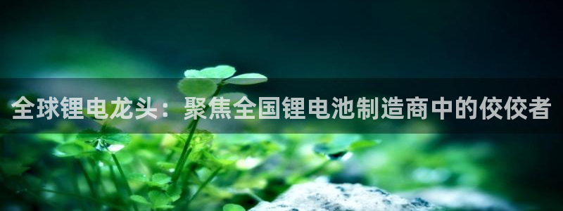 k豆钱包手