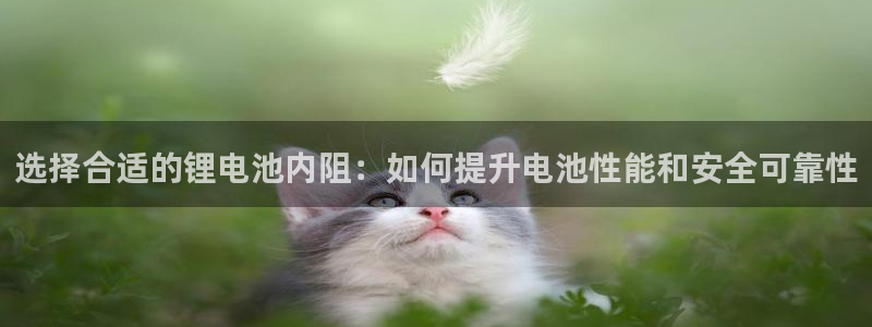 k豆钱包是合法的吗