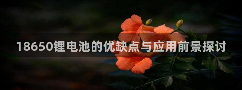 下载k豆钱包并安装