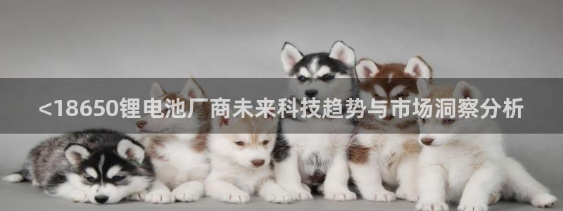 k豆钱包下载链接