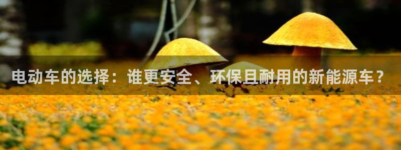 k 豆钱包app