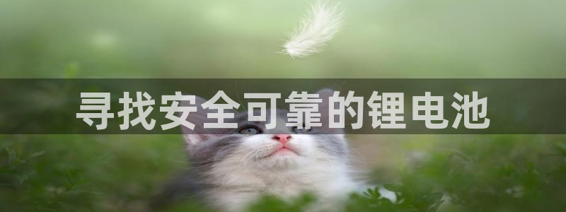 k豆钱包下载安卓版