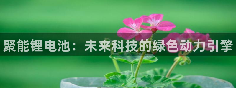 k豆钱包app
